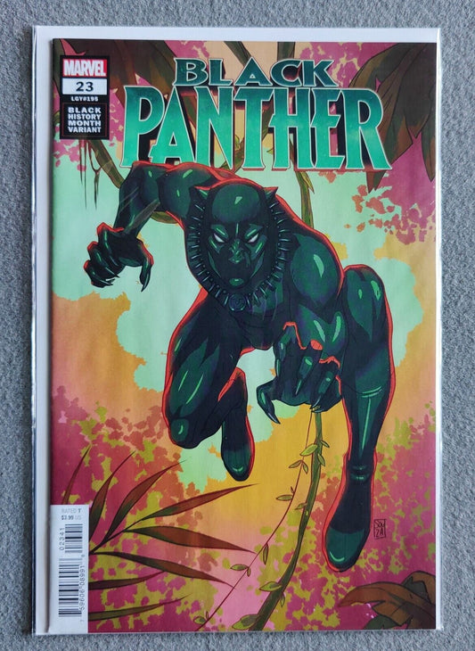 Black Panther Vol 7 #23 Cover D Variant Ernanda Souza Black History Month Cover