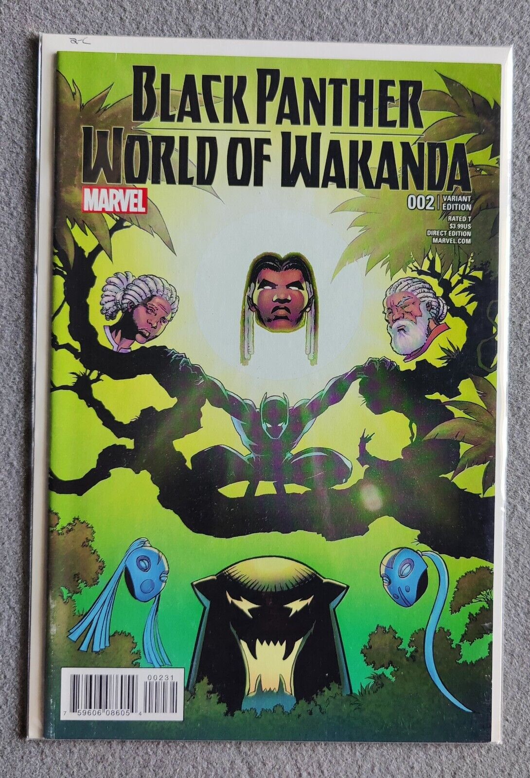 Black Panther World of Wakanda #2C Incentive Sauvage Variant Cover (2016) 1:25