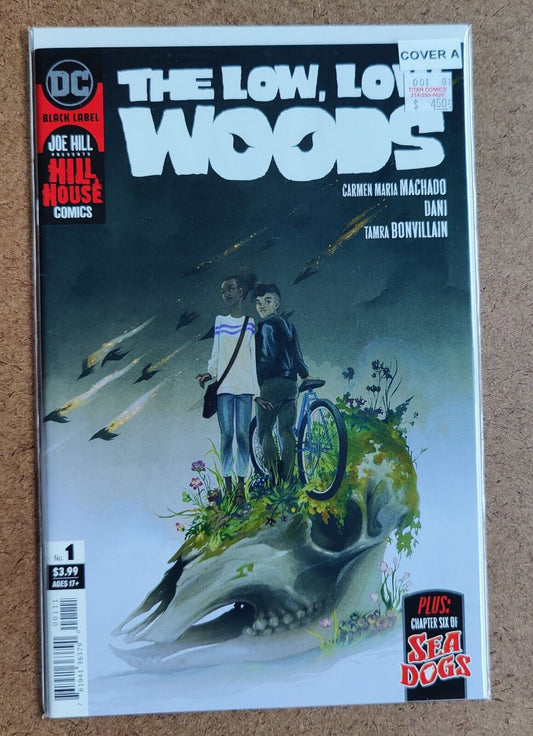 The Low, Low Woods #1 CVR A 2019 DC COMICS  J. A. W. Cooper Cover