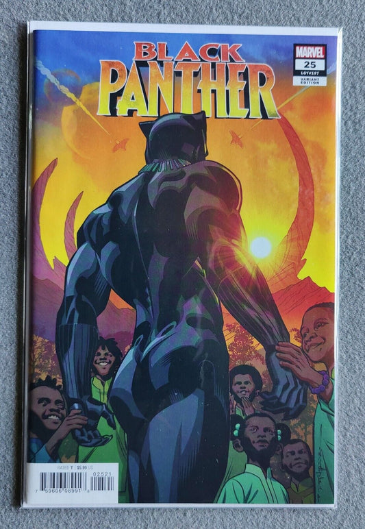 Black Panther #25 B Brian Stelfreeze Final Issue Variant